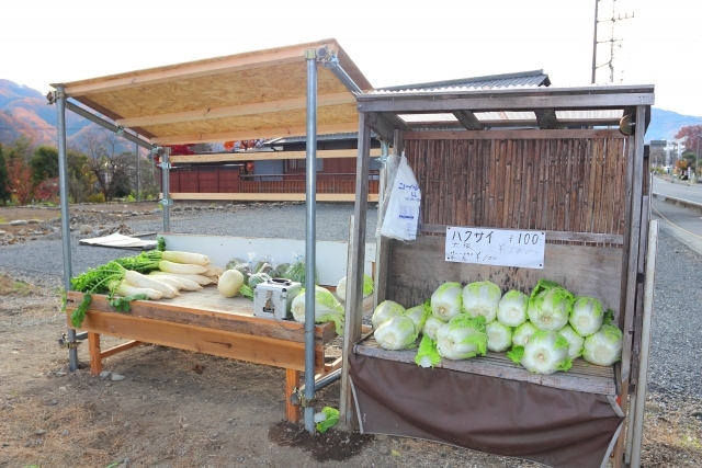 bán hàng không người lái