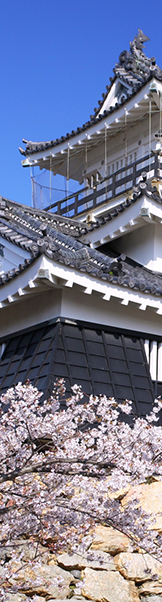 Lâu đài Hamamatsu